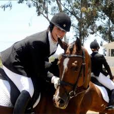 Image result for Bookham Riding Club