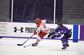 Image result for York University Street Hockey Club