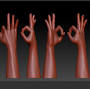 q=https://www.artstation.com/marketplace/p/jrmmr/ok-hand-motion-gesture-ok-low-poly-3d-model from www.artstation.com