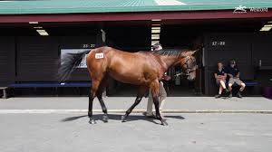 Image result for Bletchingly Badminton Club