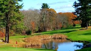 Image result for Bellingham Golf Club