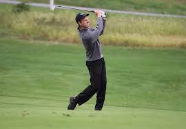 Image result for York University Golf Club