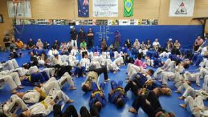 Image result for Team Renegade BJJ & Judo