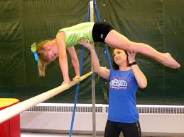 Image result for Newton Abbot Somersaults Gc