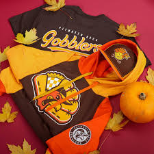 Image result for PLYMOUTH MARINERS BASEBALL CLUB