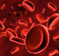 la <b>viscosità del sangue</b>