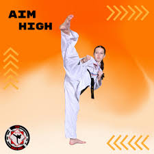 Image result for ATA Martial Arts Maple Ridge