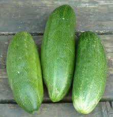 Image result for Gurke