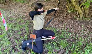 Image result for Green Hollow Bowmen