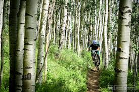 Image result for Bogtrotters Mountain Bike Club