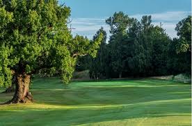Image result for Braehead Golf Club