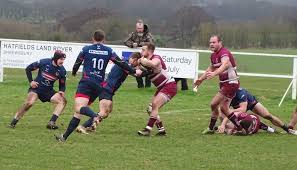 Image result for Newport (Salop) Rugby Union Football Club