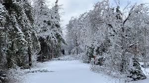 Image result for ice storm