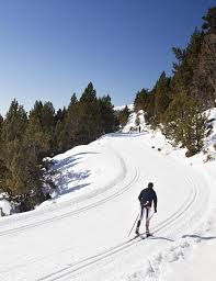 Image result for Scandinavian slope and cross country skiing