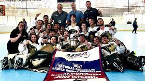 Image result for Team-Tigers Roller Hockey Club
