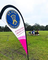 Image result for St Ives Cricket Club
