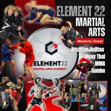 Image result for Full Element Mixed Martial Arts