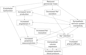Image result for Peak Performance Ckd, Horley