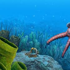 Attēlu rezultāti vaicājumam “Anogcodes melanurus”