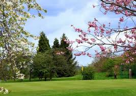 Image result for Prudhoe Golf Club