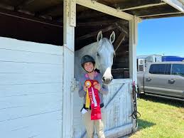 Image result for Annandale Equestrian Centre