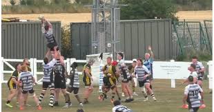 Image result for Braintree Rugby Football Club