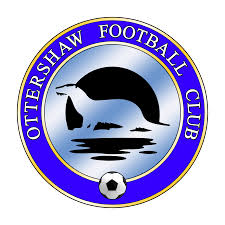 Image result for Ottershaw Girls Fc