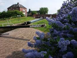 Image result for Barton Under Needwood Cc