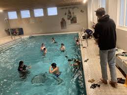 Image result for max-planck-schule kiel