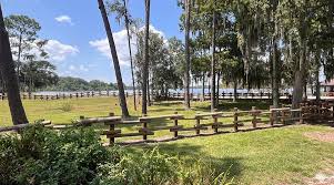 Image result for Chapel Tri-Stars Junior Tri Club