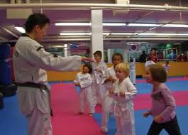 Image result for York University Taekwondo Club