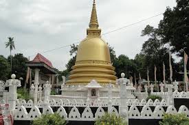 Image result for Дамбулла