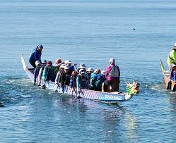 Image result for Bay Dragons CC