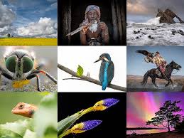 Image result for photos