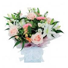 Image result for Belper Sub Aqua