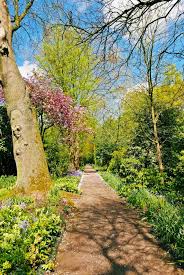 Image result for Arboretum Trompenburg