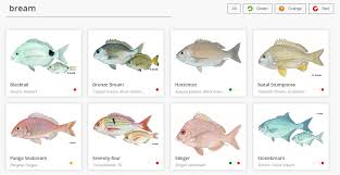 Image result for Polysteganus undulosus