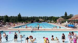 Image result for Hitchin Swimming Club