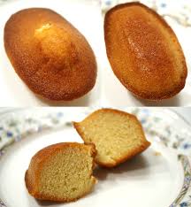 「ナジマ・ゲブール」の画像検索結果