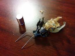 Image result for blown capacitor