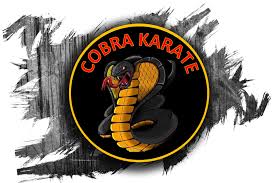 Image result for Cobra Karate Club