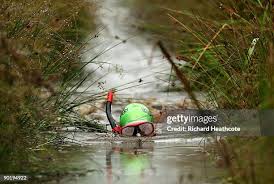 Image result for Bog Snorkelling Championships
