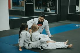 Image result for Pyramid martial arts