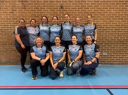 Image result for Bronwydd Cricket Club