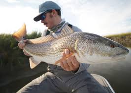 Image result for Seabrook Sea Anglers Association