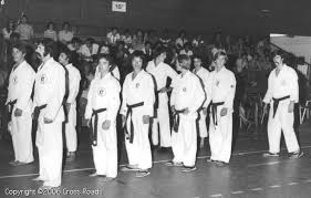 Image result for Nottingham Sankukai Karate