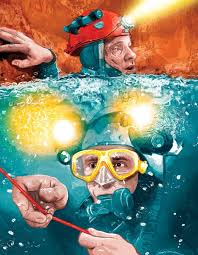 Image result for Maverick Divers