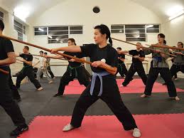 Image result for Shaolin Nam Pai Chuan Kung Fu - Manchester Martial Arts Centre