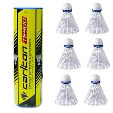 Image result for Shuttles Badminton Club (Frome)