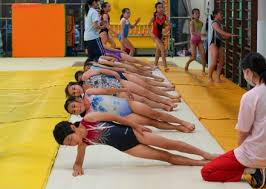 Image result for Tessaro Gymnastics Club